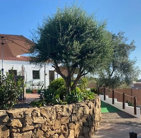 La Casa Palmera - Caminito Del Rey ピサラ エクステリア 写真